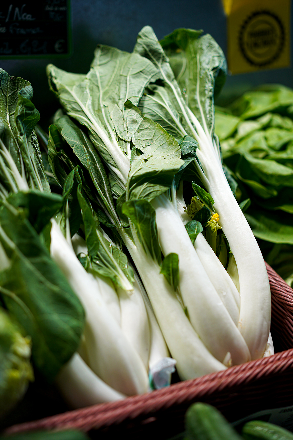 le pere biobio luneville le pere biobio luneville 6 23